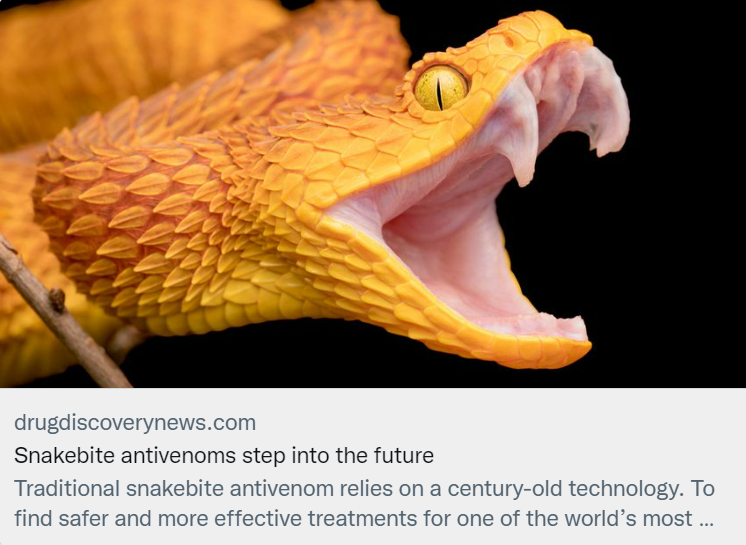Preview of article, including photo of a yellow snake